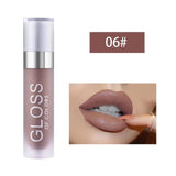 Professional Liquid Lipstick - 06