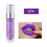 Professional Liquid Lipstick - 07