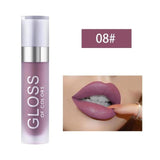 Professional Liquid Lipstick - 08