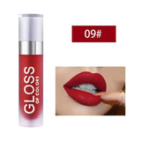 Professional Liquid Lipstick - 09