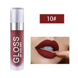 Professional Liquid Lipstick - 10