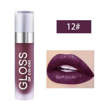 Professional Liquid Lipstick - 12