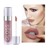 Professional Liquid Lipstick