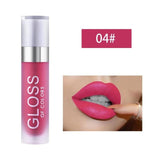 Professional Liquid Lipstick